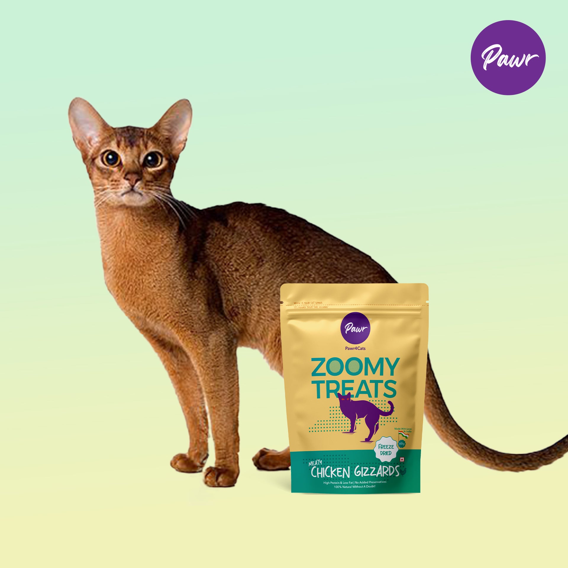 Zoomy Cat Treats | Chicken Gizzards | Freeze-Dried