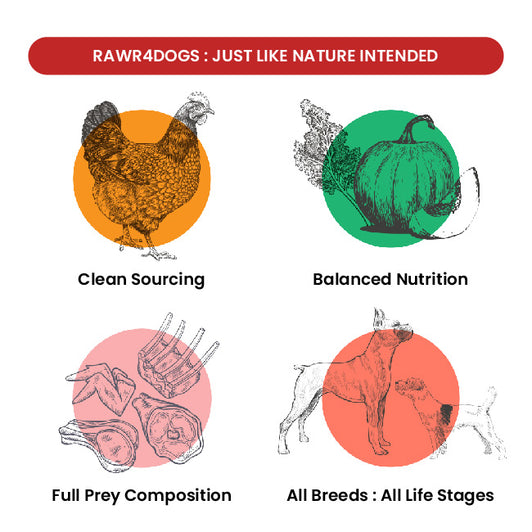 FreshMeals | Wet Dog Food | Chicken, Lamb, & Pumpkin